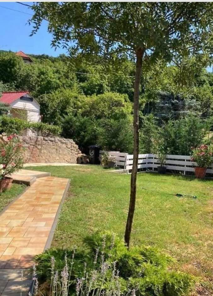 Balics Vendeghaz Villa Pécs Exterior photo